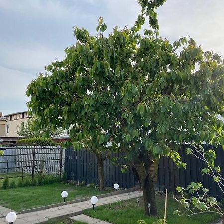 Schoenes Reihenhaus Mit Garten Magdeburgo Esterno foto