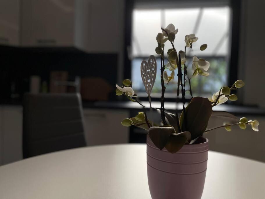 Schoenes Reihenhaus Mit Garten Magdeburgo Esterno foto