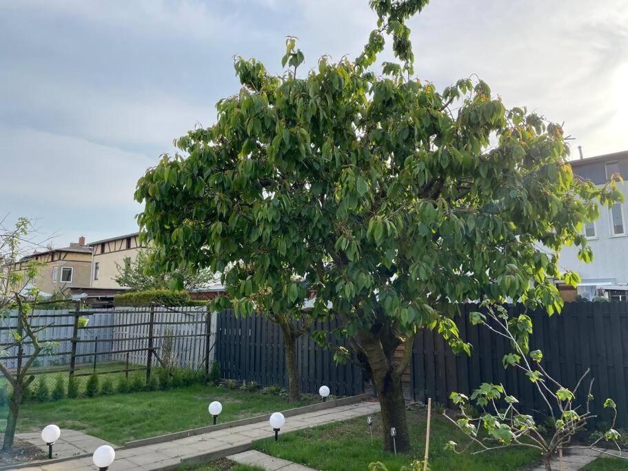 Schoenes Reihenhaus Mit Garten Magdeburgo Esterno foto